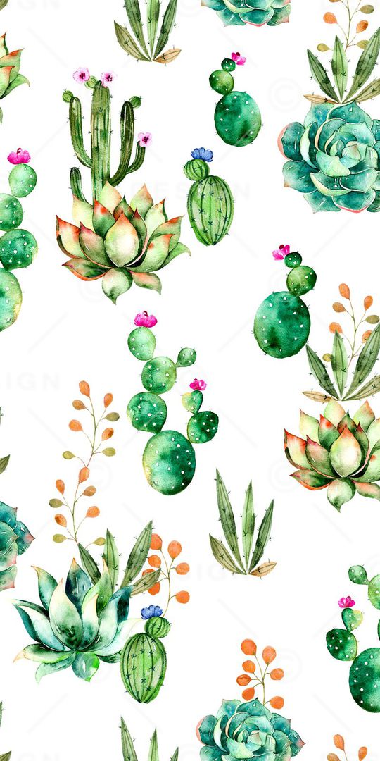 仙人掌印花华亿平台图片