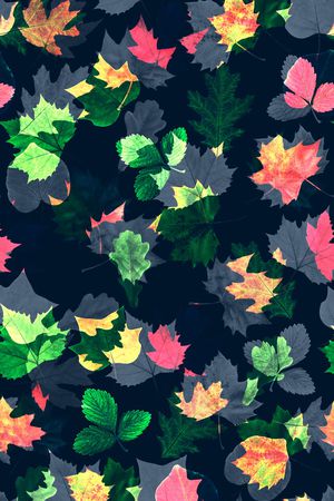 其它印花华亿平台图片