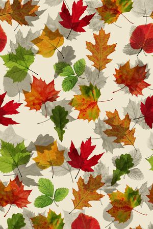 其它印花华亿平台图片