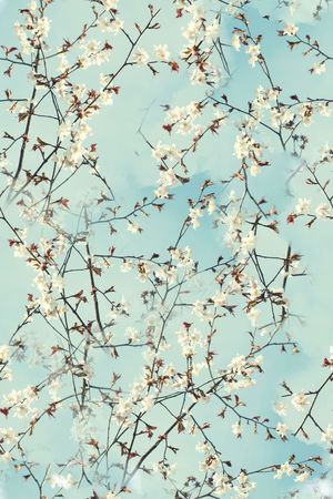 桃花印花华亿平台图片