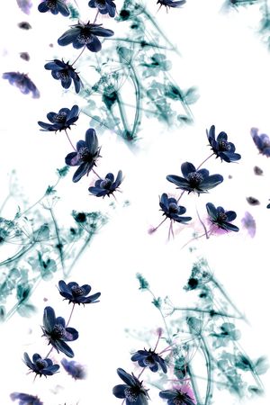 乱花印花华亿平台图片