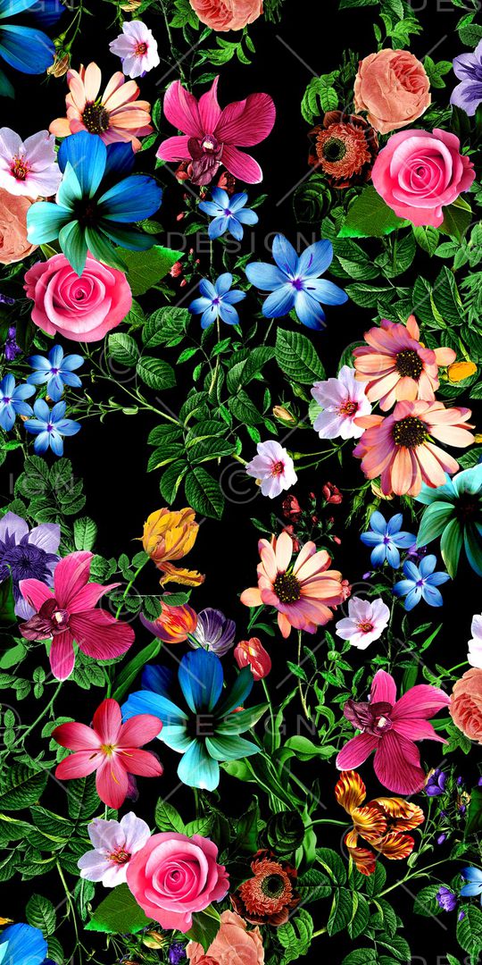 玫瑰印花华亿平台图片