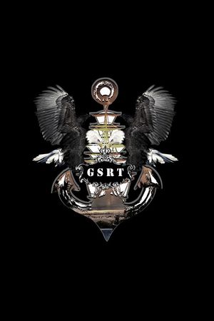 老鹰印花华亿平台图片