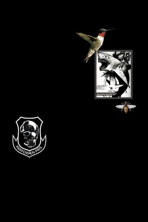 骷髅头印花华亿平台图片