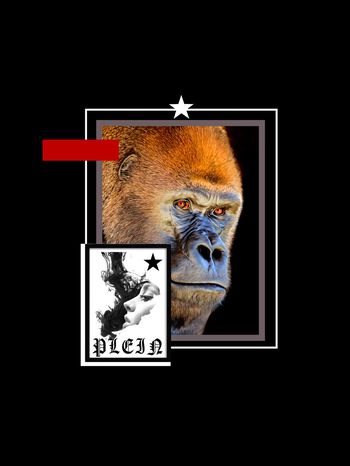 730622-838816102803b