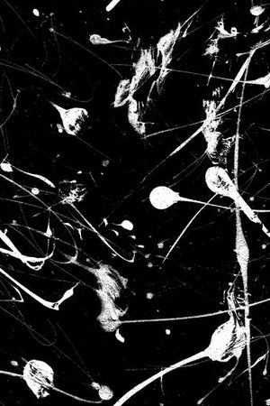 线条印花华亿平台图片