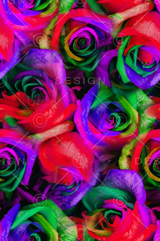 荷花印花华亿平台图片