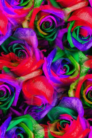 荷花印花华亿平台图片