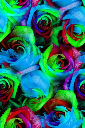 荷花印花华亿平台图片