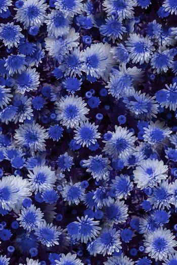 730812-瓦栏-53abcd