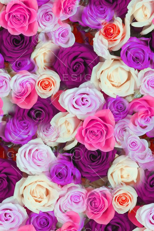 大花印花华亿平台图片