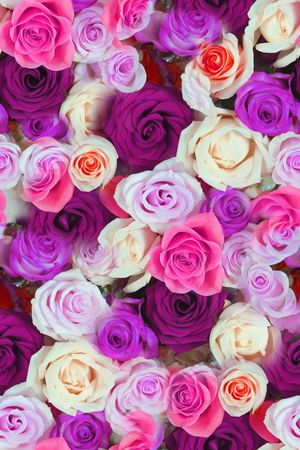 大花印花华亿平台图片