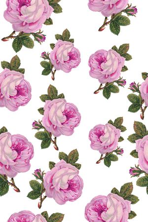 大花印花华亿平台图片