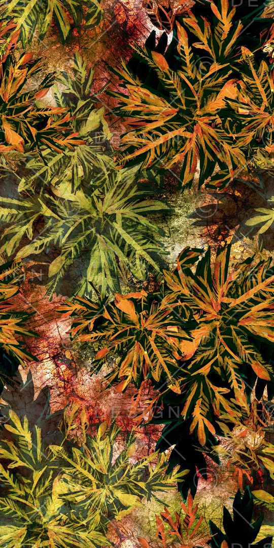 棕榈叶印花华亿平台图片