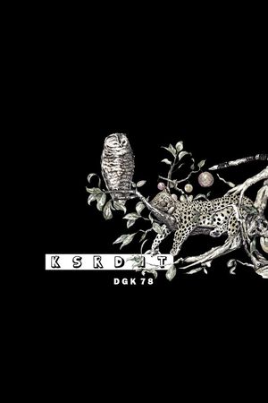 豹子印花华亿平台图片