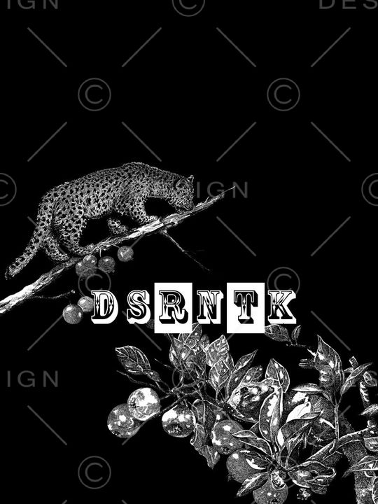 豹子印花华亿平台图片