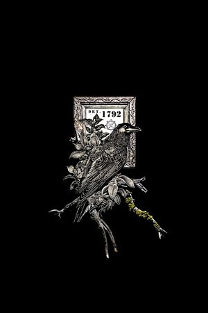 鸟印花华亿平台图片