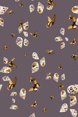 蝴蝶印花华亿平台图片