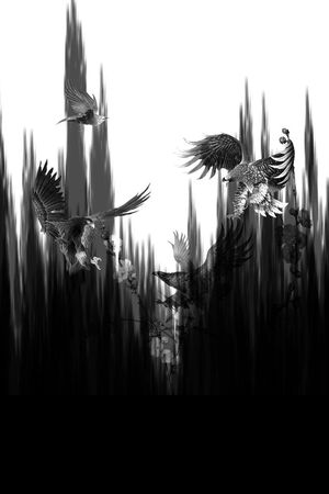 风极印花华亿平台图片