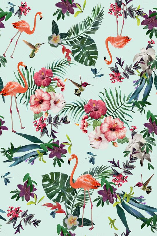 天堂鸟印花华亿平台图片