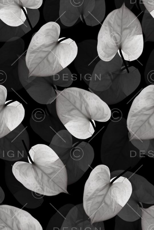 树叶印花华亿平台图片