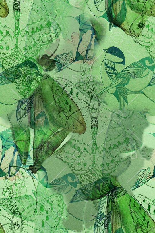 昆虫印花华亿平台图片