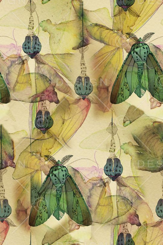 昆虫印花华亿平台图片