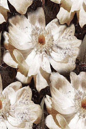 大花印花华亿平台图片