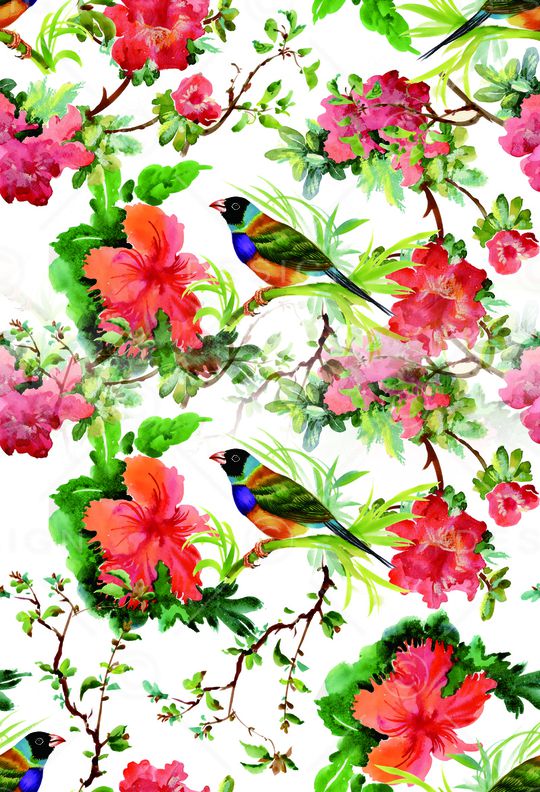 花鸟印花华亿平台图片