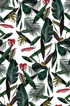 雨林密踪印花华亿平台图片