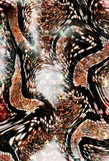 野兽印花华亿平台图片