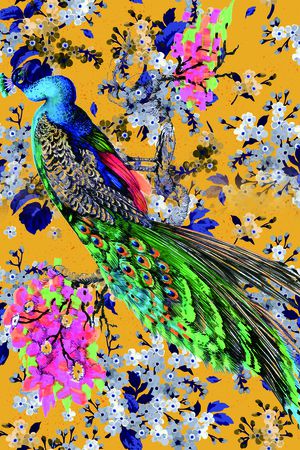 鸟印花华亿平台图片