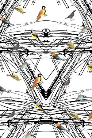 线条印花华亿平台图片