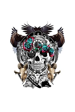 骷髅头印花华亿平台图片