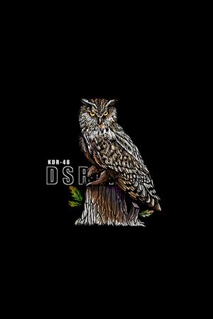 猫头鹰印花华亿平台图片