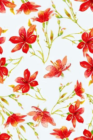 不定位丝巾女装家纺印花华亿平台图片