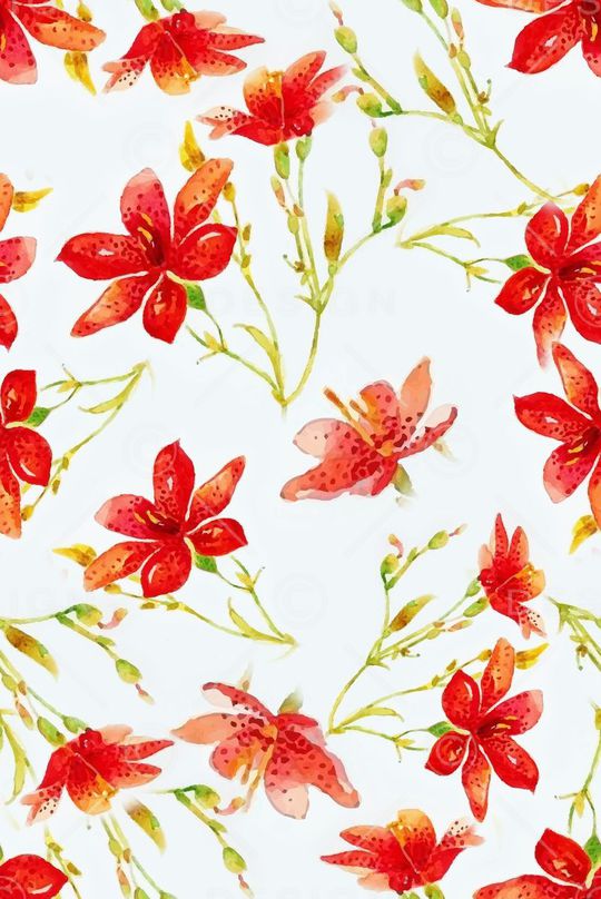 不定位丝巾女装家纺印花华亿平台图片