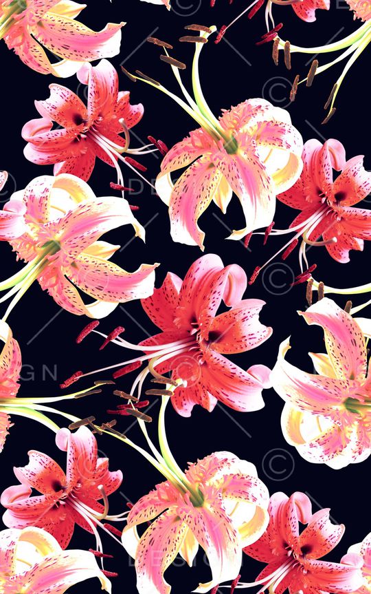 大花印花华亿平台图片