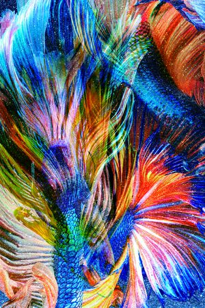 金鱼印花华亿平台图片