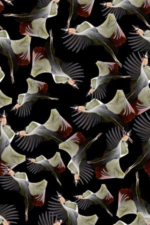 羽毛印花华亿平台图片