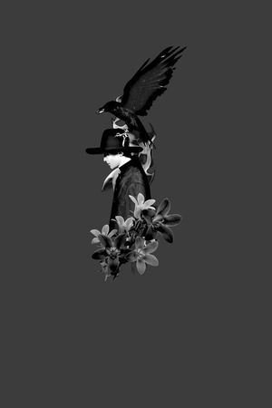 抽象手绘动物老鹰几何花卉数码印花印花华亿平台图片