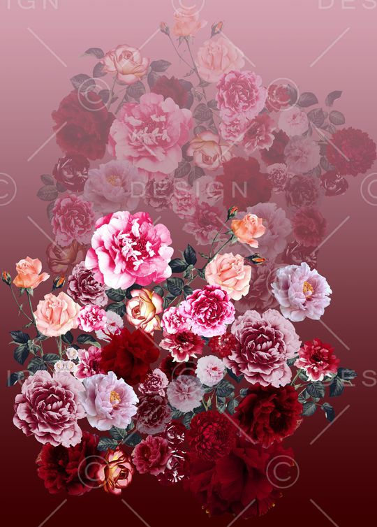 渐变印花华亿平台图片