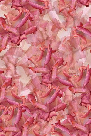 花瓣印花华亿平台图片