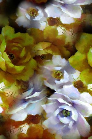 牡丹印花华亿平台图片