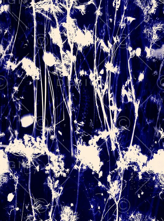 复古印花华亿平台图片