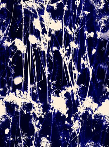 733009-水墨海洋花卉