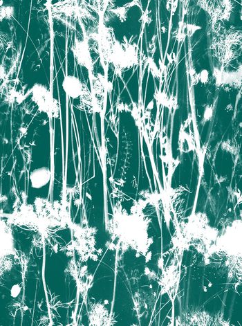 733011-大牌水墨海洋花卉-绿