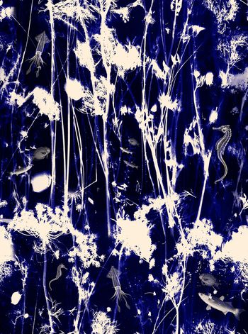 733012-大牌水墨海洋花卉-鱼