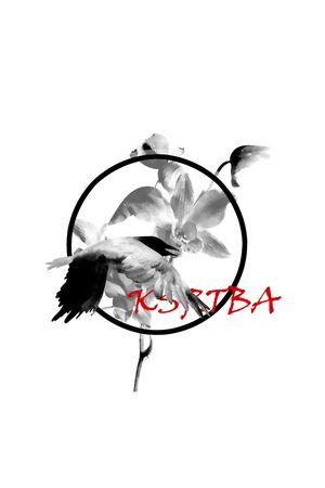 飞鸟印花华亿平台图片