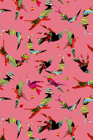 百鸟图印花华亿平台图片